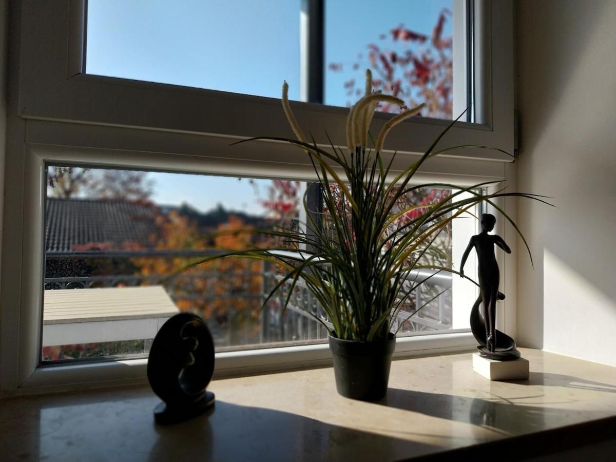 Bad Aibling City Apartment - Alpenblick Экстерьер фото